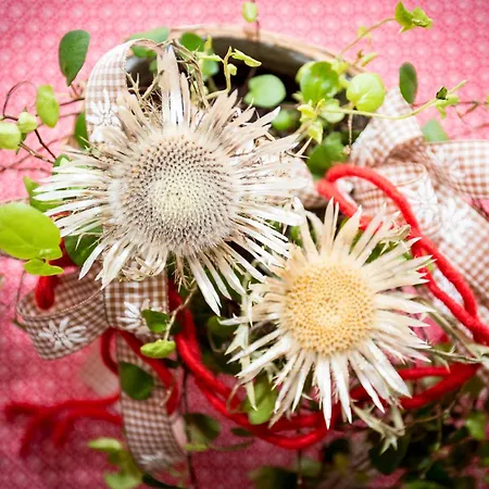 Pensjonat Steigmuehle Garni