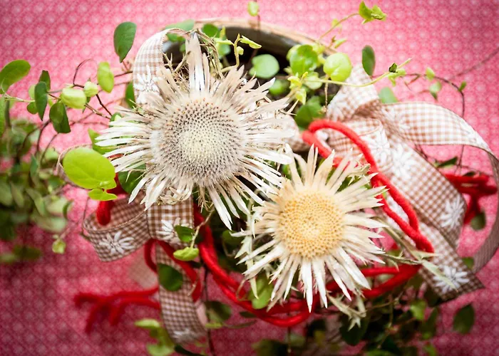 Affittacamere Steigmuehle Garni